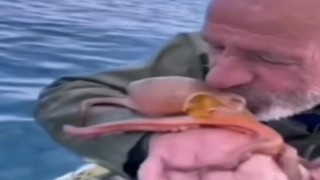 Yakaladığı ahtapotu öpüp sevdi, denize bıraktı