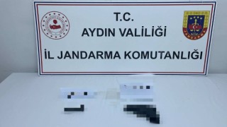 Aydın Jandarması ruhsatsız silahları topladı: 10 gözaltı