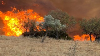 Aydın’da hafta sonu 11 yangın çıktı
