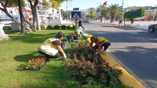 Başkan Çerçioğlu’ndan Aydın'a yeşil dokunuş