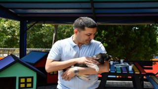 Başkan Günel'den can dostlar için yeni bir hizmet daha