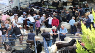 Bozdoğan'da Kurban Satış Alanı Hazır: Belediye Tüm Önlemleri Aldı