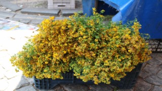 Bu çiçek hediye için değil sağlık için alınıyor