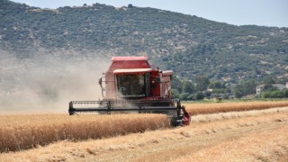 Çiftçilerden hayvan üreticilerine kritik uyarı: "Elinizi Çabuk Tutun"