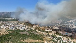Didim’deki makilik yangınını söndürme çalışmaları devam ediyor