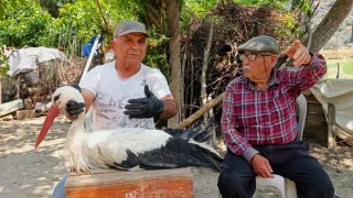 Kamyon çarpan leylek tedavi altına alındı, Başkan Sürücü 'dikkat' çağrısı yaptı