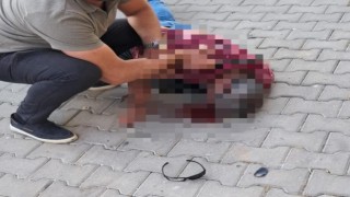 Kontrolden çıkan motosiklet park halindeki araçlara çarptı: 1 yaralı