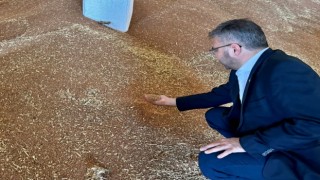 Milletvekili Özmen TMO 2025 Hububat Alım Fiyatlarını Açıkladı