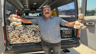 Minibüsüyle üç il gezip, ailesine bakıyor