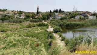 Tarihi köprüde sular yeşillendi, doğaseverler sorunlara dikkat çekti