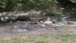 Yasağı delip ormanda mangal yaktılar, jandarmadan kaçamadılar