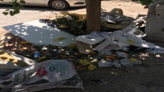 AK Parti Nazilli İlçe Başkanı Beyazıt'tan Belediyeye Çöp Tepkisi: "Halkın Sağlığıyla Oynamayın!"