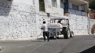 Bozdoğan beyaza boyandı