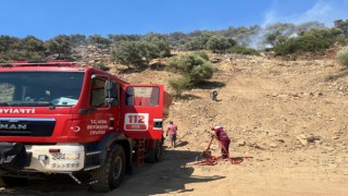 Bozdoğan’daki zirai alan yangını söndürüldü