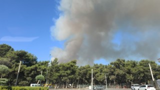 Buca'da orman yangını