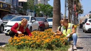 Büyükşehir'den Didim'de peyzaj ve temizlik çalışması