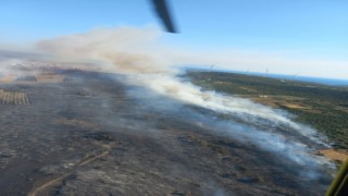 Çeşme ve Ödemiş'te orman yangınları devam ediyor