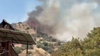 Efeler'de zirai alan yangını