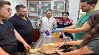 Jandarma yaralı leyleği veterinere ulaştırdı