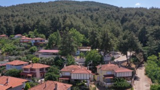 Karacasu Belediyesi’nden yangın uyarısı: "Bir kıvılcım, bir felakete sebep olabilir"