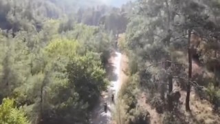 Karacasu’da orman yangıları için kaymakamlıktan uyarı