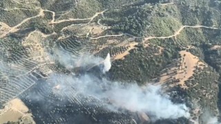 Kuyucak’ta zirai alan ve makilik yangını