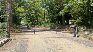 Yangınlara karşı ormanı demir kapı ile kapattılar