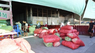 Acarlar'da eli ayağı tutan herkes çalışıyor