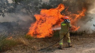 Aydın’da ormanlar için kırmızı alarm