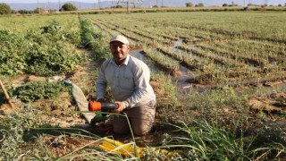 Aydın'da su kıtlığı çiftçilerin mesai saatlerini değiştirdi