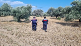 Jandarmadan orman devriyesi