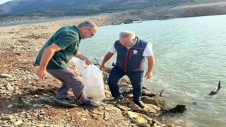 Kemer Barajı’na 600 bin adet sazan yavrusu bırakıldı