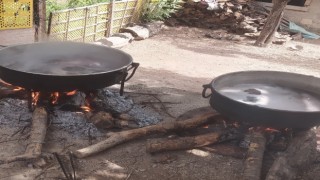 Aydın’da pekmez yapım sezonu başladı