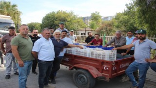 TARİŞ alımları erken kapattı, üretici tüccara tepki gösterdi