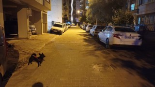 Balıkesir'deki deprem Aydın'da da hissedildi