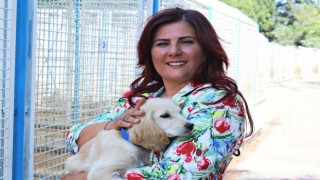 Büyükşehir'den sokak hayvanları için 244 bin metrekarelik yaşam alanı