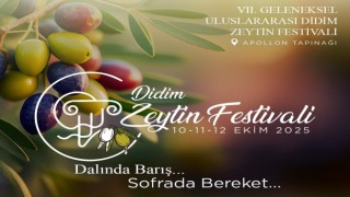 Didim Zeytin Festivali için geri sayım başladı