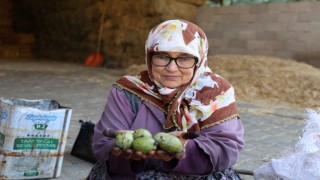 Dursun nine doktor tavsiyesi ile çalışıyor