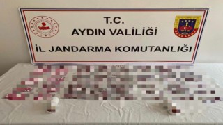 Otobüsle uyuşturucu sevkiyatı otogarda son buldu