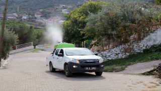 BOZDOĞAN BELEDİYESİ’NDEN KARASİNEKLE MÜCADELE SEFERBERLİĞİ