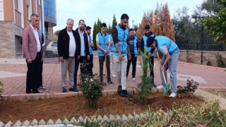 Karacasu Belediyesi’nden öğrenci yurdu bahçesine yeşil dokunuş