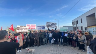 Kuşaklar aşan tapu mücadelesi