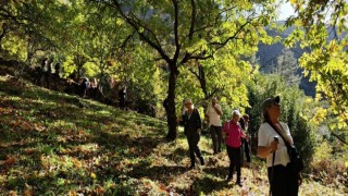 Sonbaharın güzelliğine bürünen Koçak Kanyonu'na dikkat çektiler