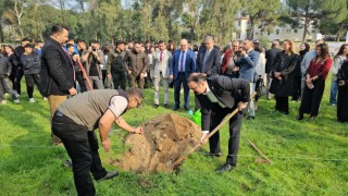 Sultanhisar’da fidanlar toprakla buluştu