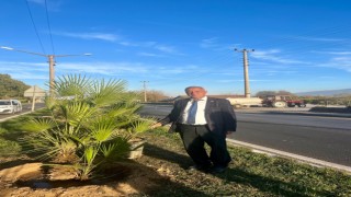 Yeşil Sultanhisar için ağaçlandırma çalışmaları sürüyor