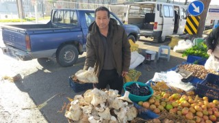 Aydın'daki dev mantarlar pazarda ilgi odağı oldu