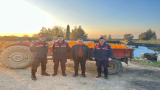 Nazilli’de 1,5 tonluk portakal hırsızlığı jandarmaya takıldı