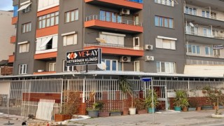 VETAY Veteriner Kliniği Küllerinden Yeniden Doğdu