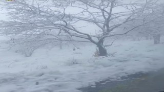 Beyaz örtüyü gören Aydınlılar zirveye tırmandı