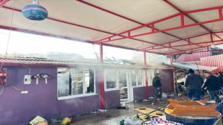 Bozdoğan'da ev alevlere teslim oldu